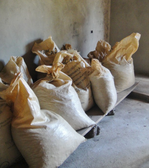 cocoa-plantation-dominican-republic 