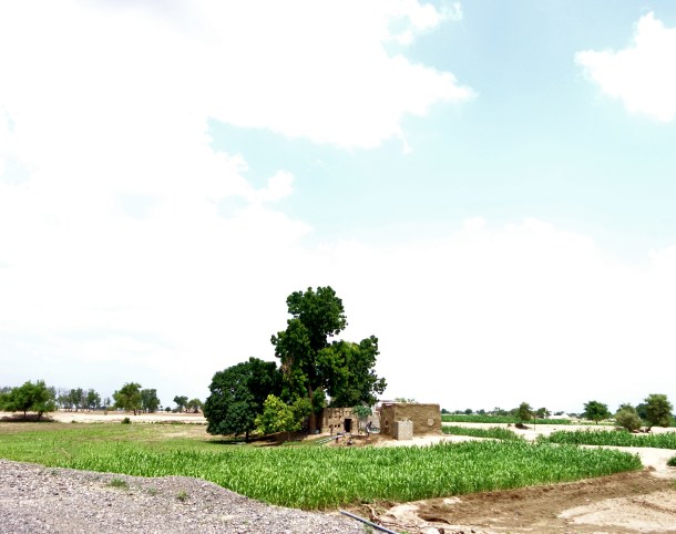 farm in yemen