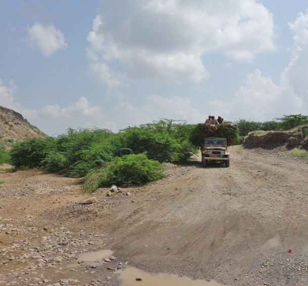 landscape-yemen-river-crossing