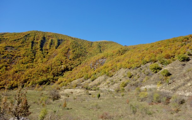 abandoned-ruined-buildings-chechnya