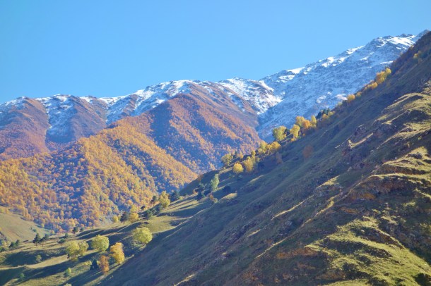 chechnya-georgia-border