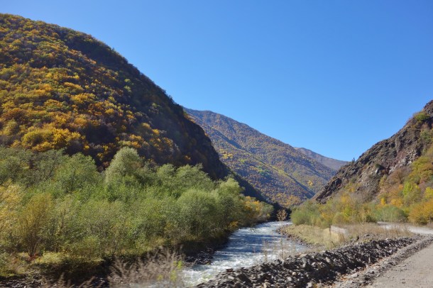 road-through-argun-gorge