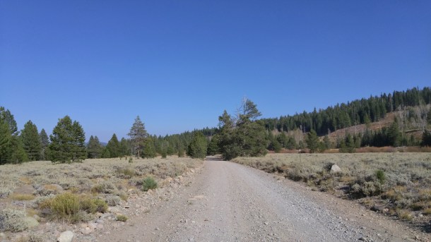 driving-henness-pass-road