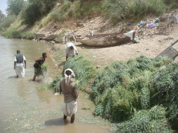 making-a-living-off-of-the-nile-river-in-sudan